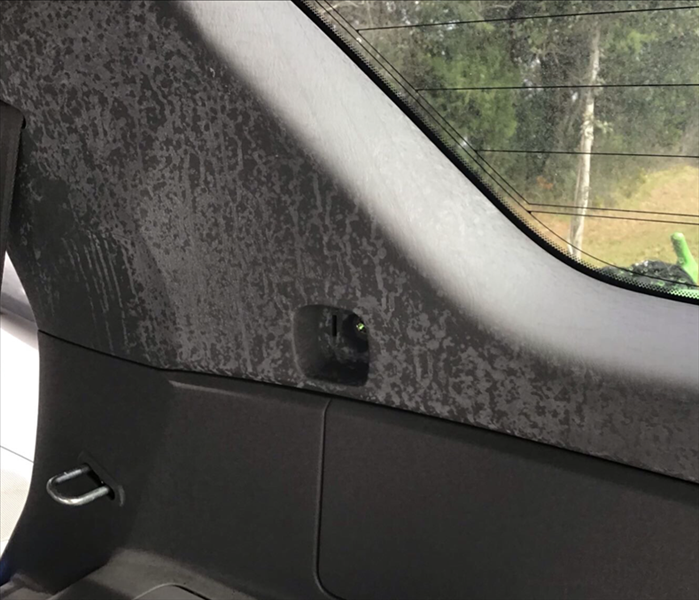 Before SERVPRO of South Fleming Island remediate / mitigates mold in a car!